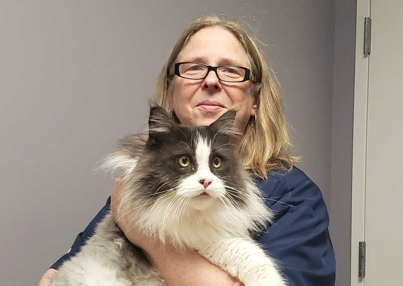 Carousel Slide 2: Caring and experienced staff